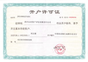 四川山河資產(chǎn)評估有限責(zé)任公司 專業(yè)評估服務(wù)，守護(hù)資產(chǎn)價值